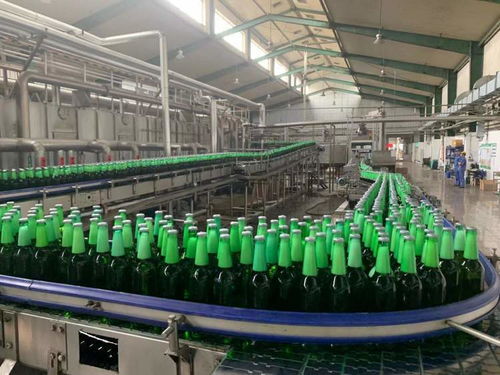 一表集成、自動計算 上海17稅費種綜合申報賦能企業(yè)智慧辦稅